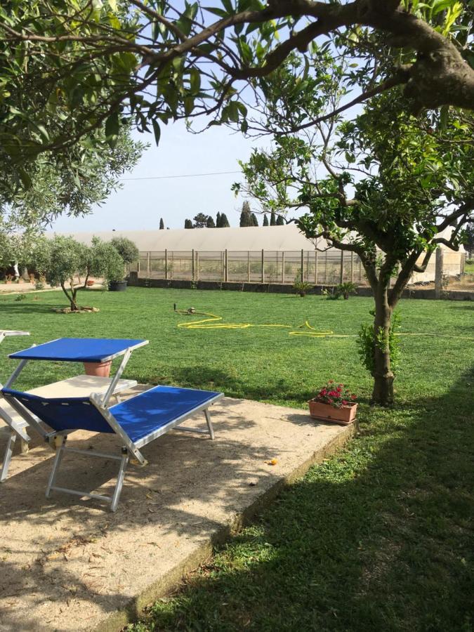 Villa Daniele Borgo Montenero ภายนอก รูปภาพ