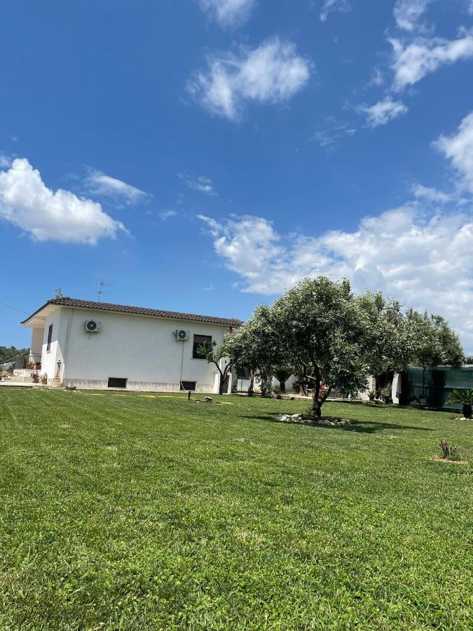 Villa Daniele Borgo Montenero ภายนอก รูปภาพ